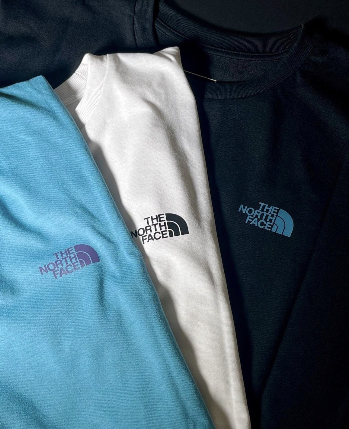 日本 TNF Walls Manifest 短袖