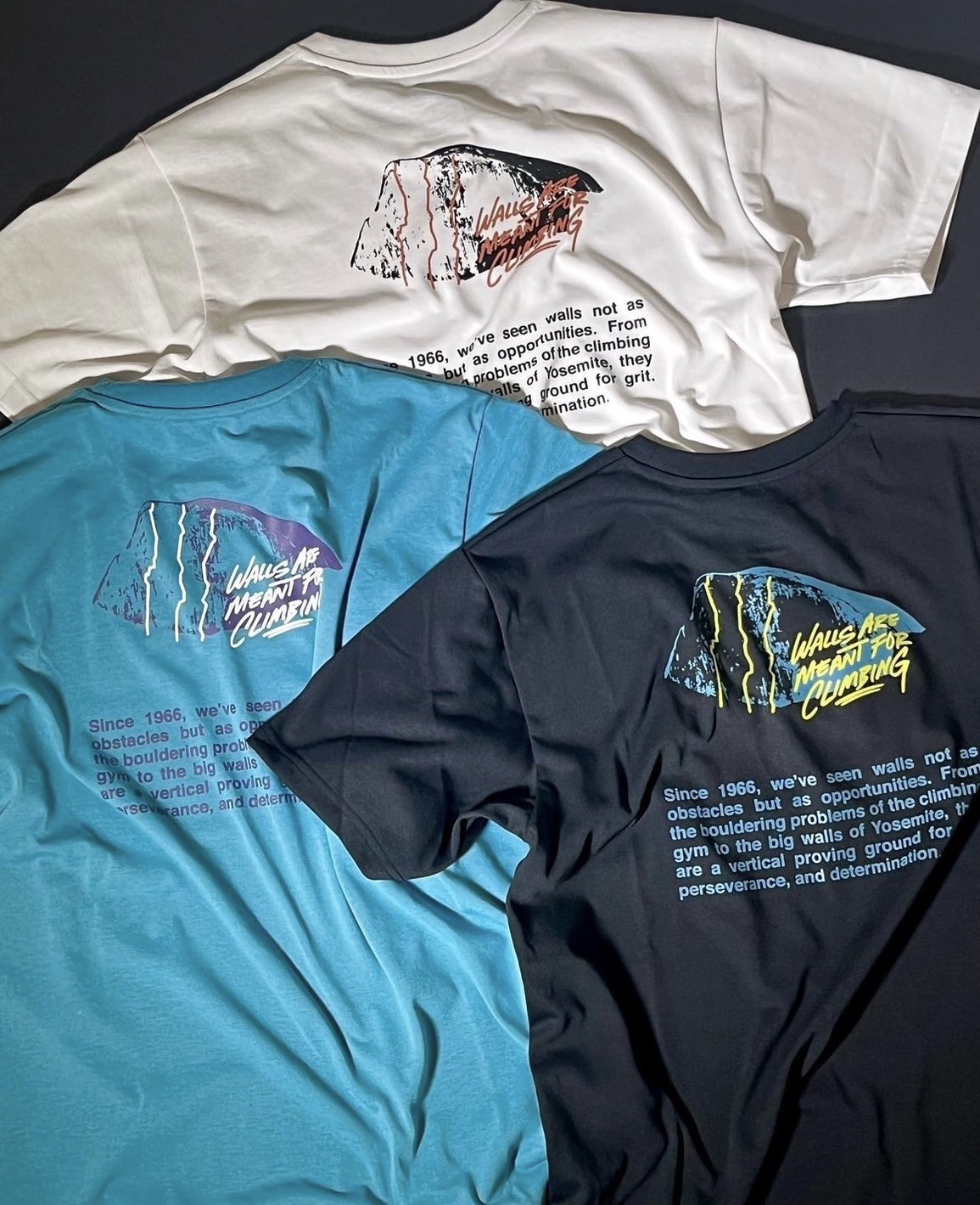 日本 TNF Walls Manifest 短袖