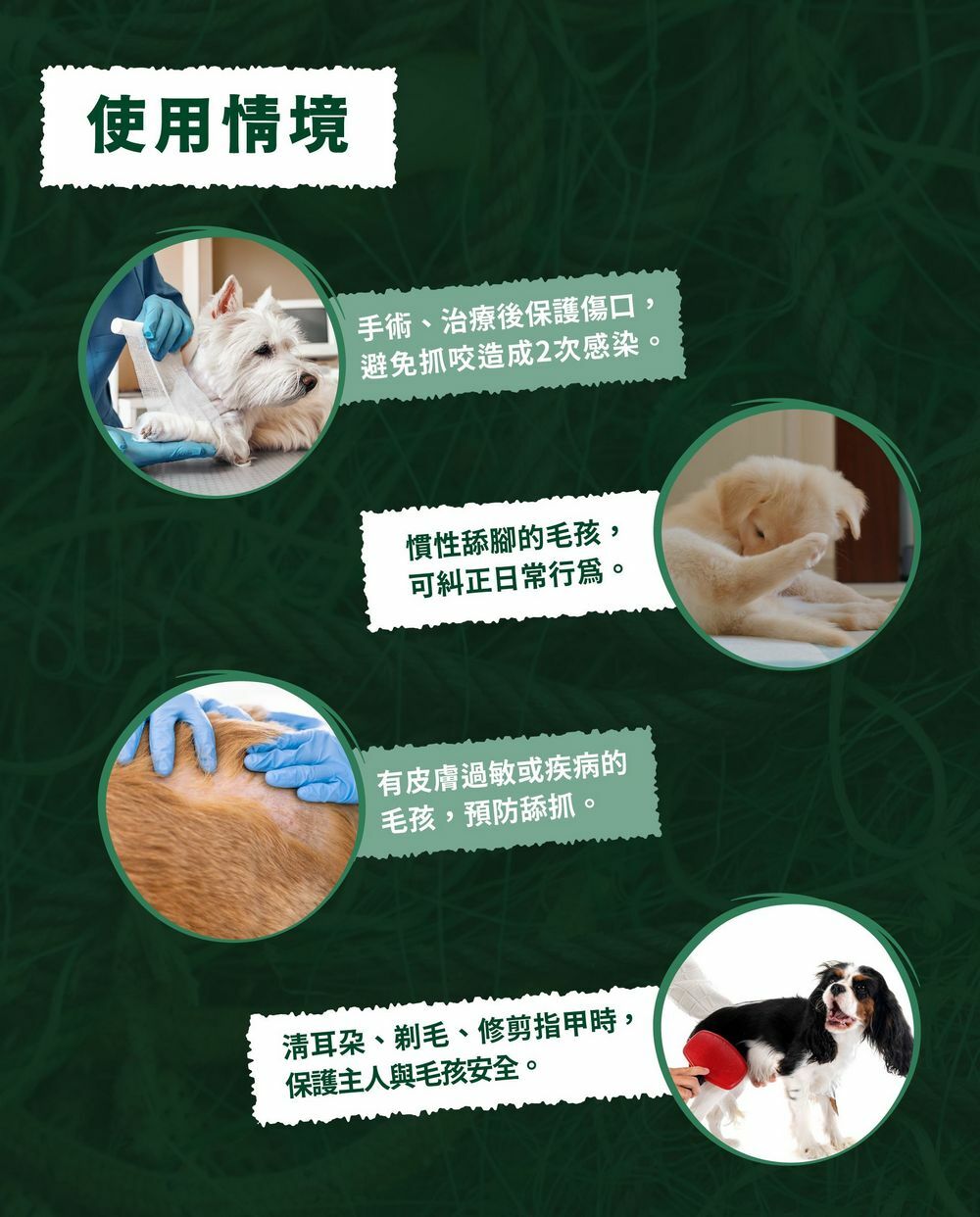 綠色海洋頭套有5大特色,插扣式,7種尺寸,材質耐用,專為犬貓設計,預防二次抓咬