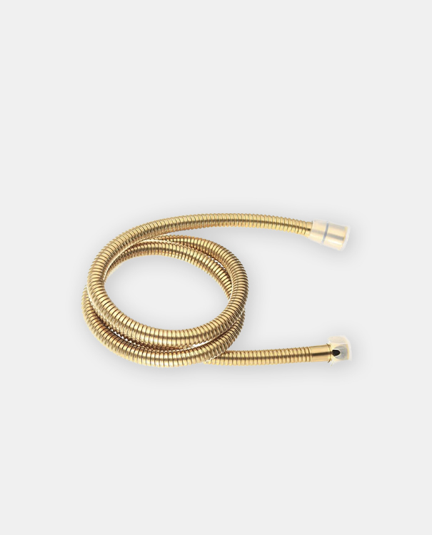 Golden Flusher 沖水器套組 / 金色 - 3