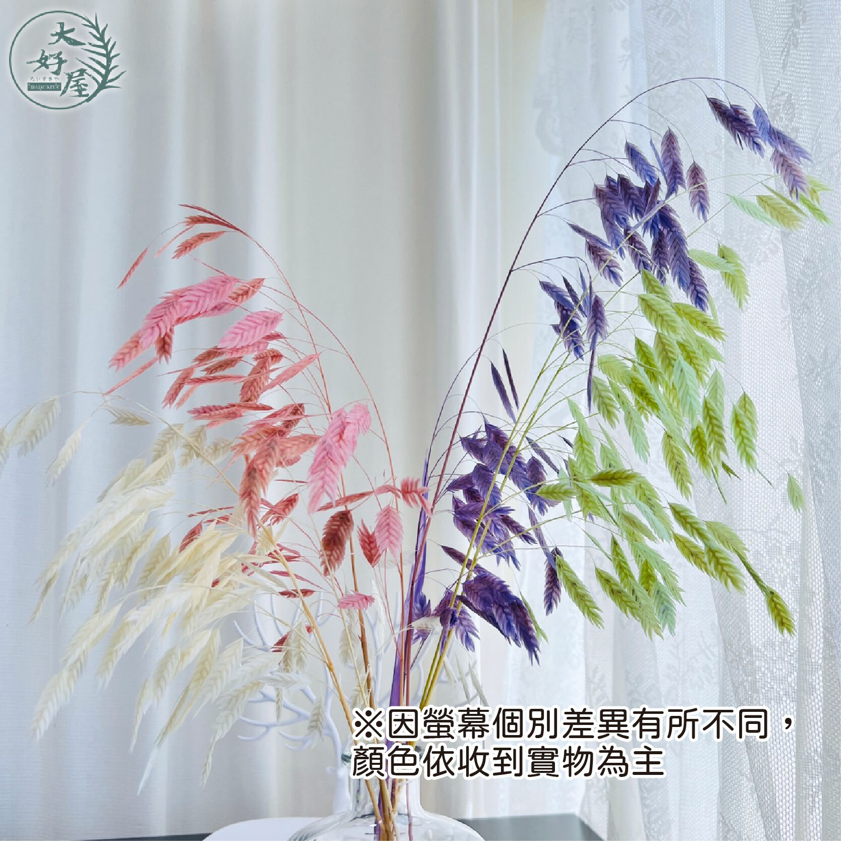 永生小盼草【小束裝】