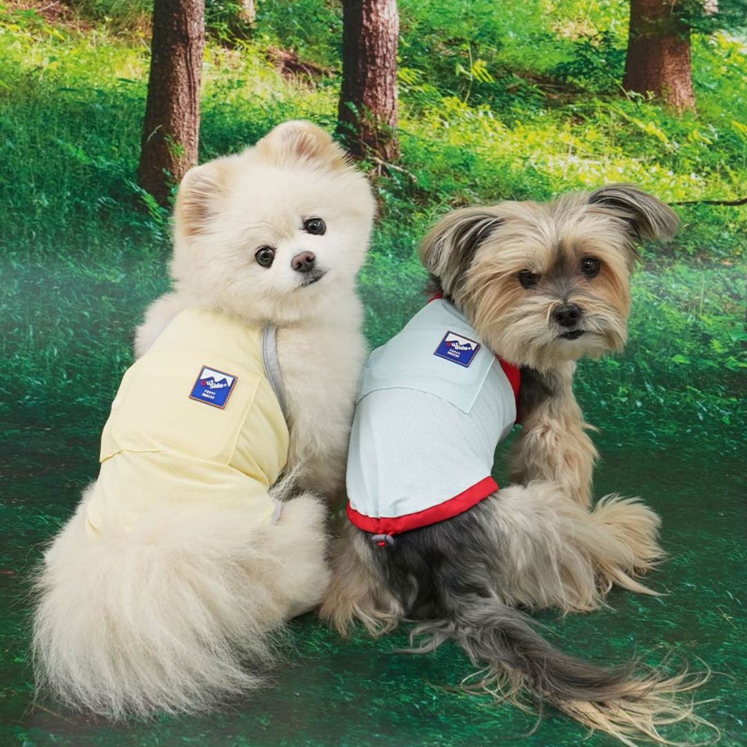 Puppy Gallery夏季涼感衣(天空藍色)