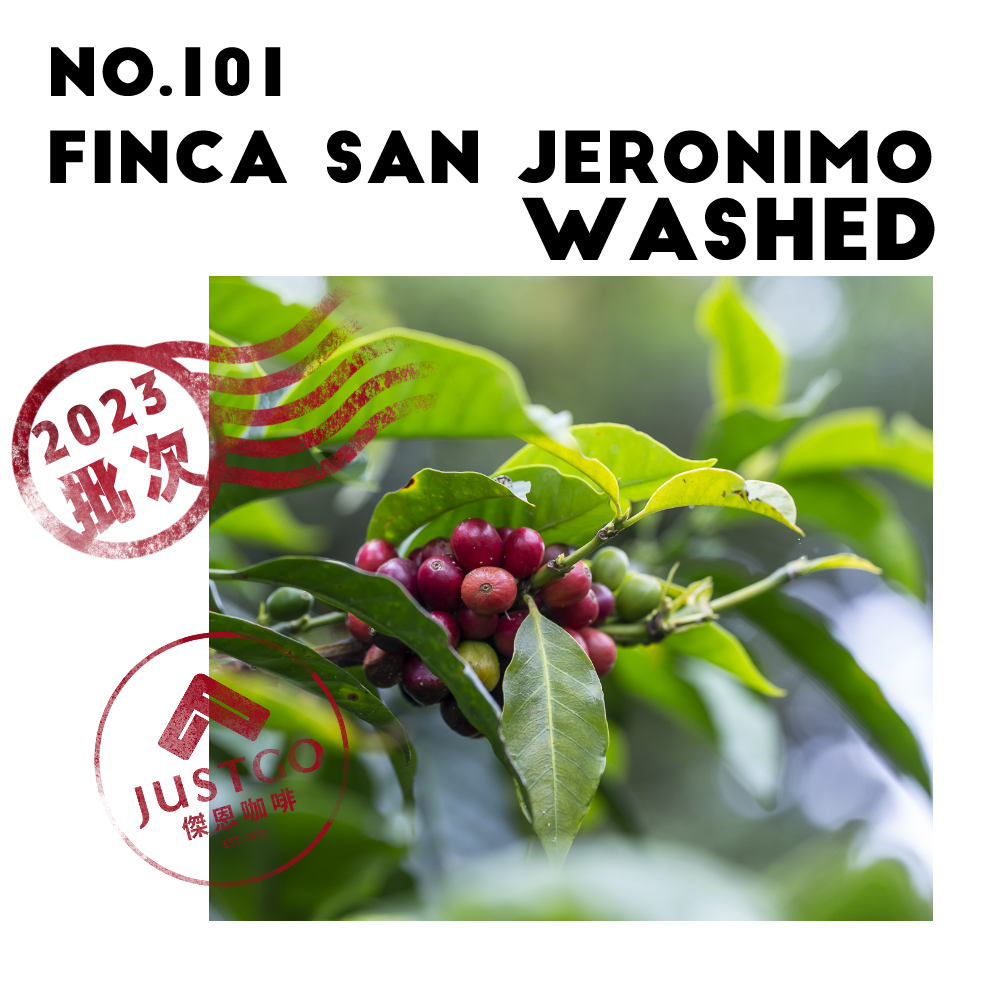 [生豆] No.101 宏都拉斯 聖赫羅莊園 水洗