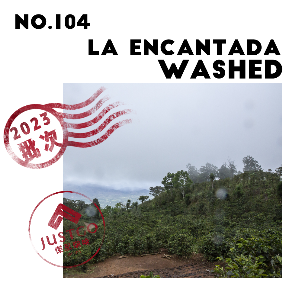 [生豆] No.104 宏都拉斯 魔幻莊園 水洗