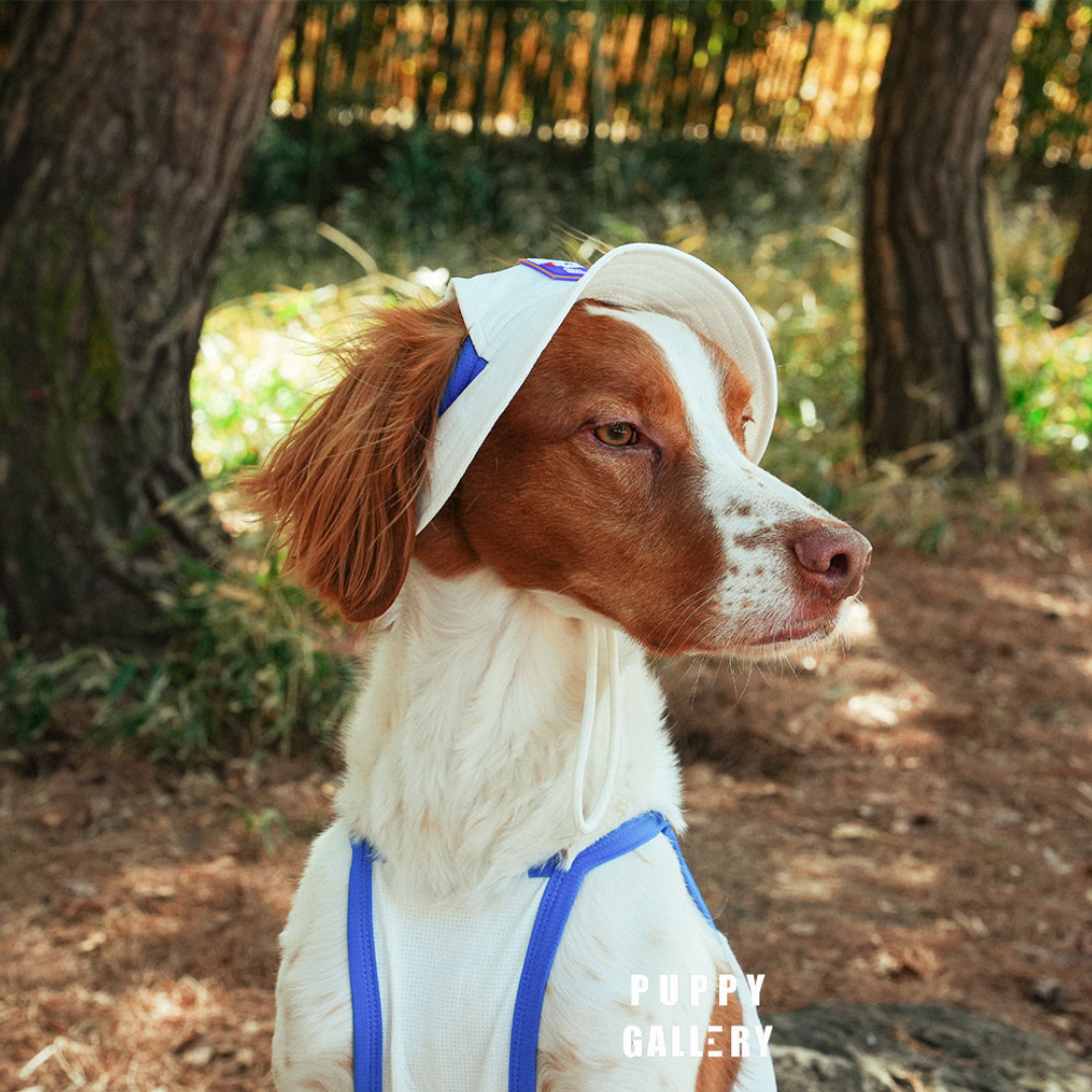 Puppy Gallery 涼感漁夫帽(白色)