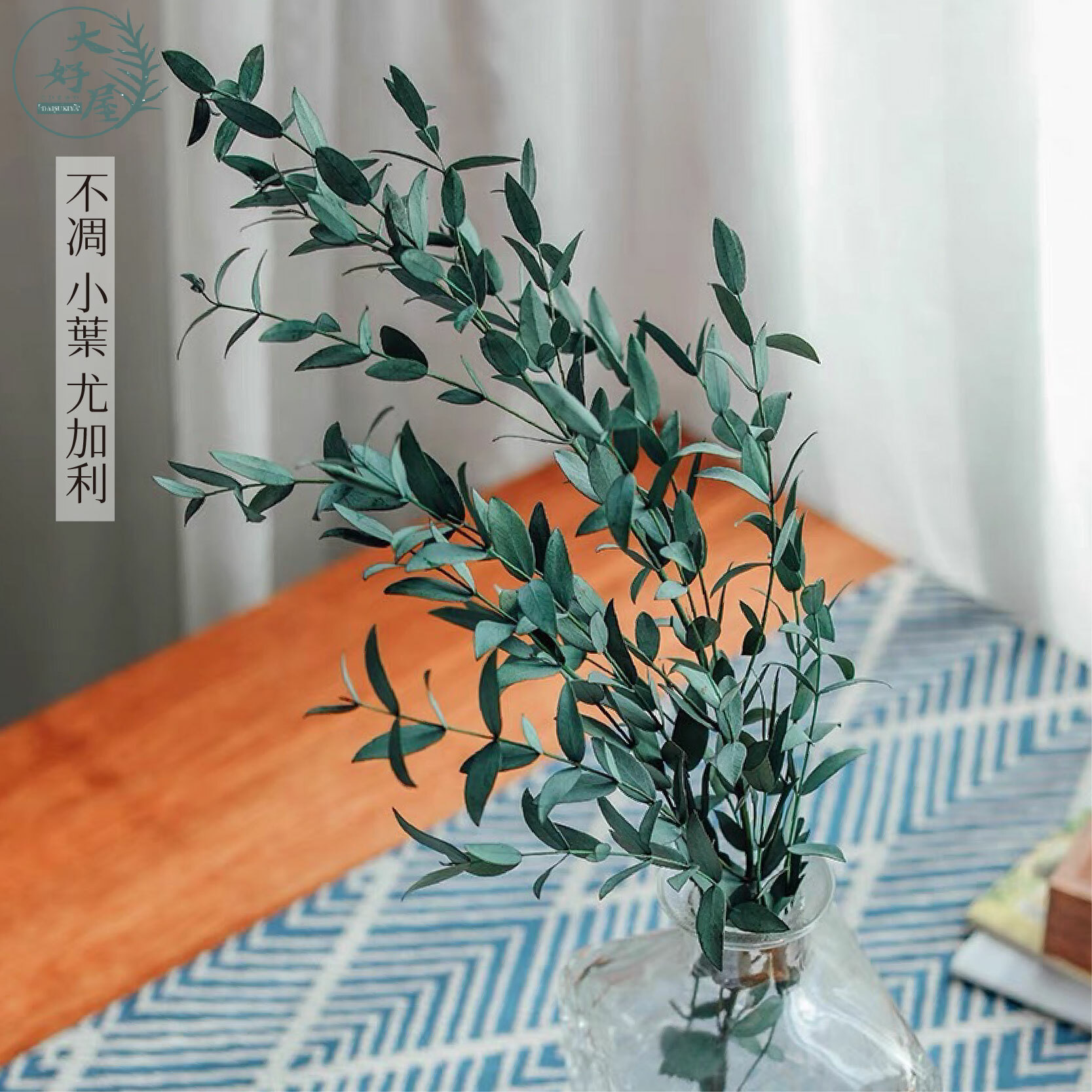 永生小葉_尤加利【大】