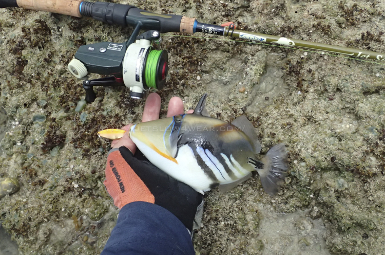 JetSlow JetSetter 60ST SHINOBI SPECIAL