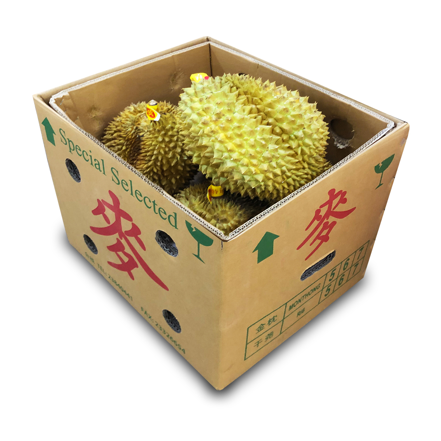 Vietnamese Golden Pillow Durian  [BOX]