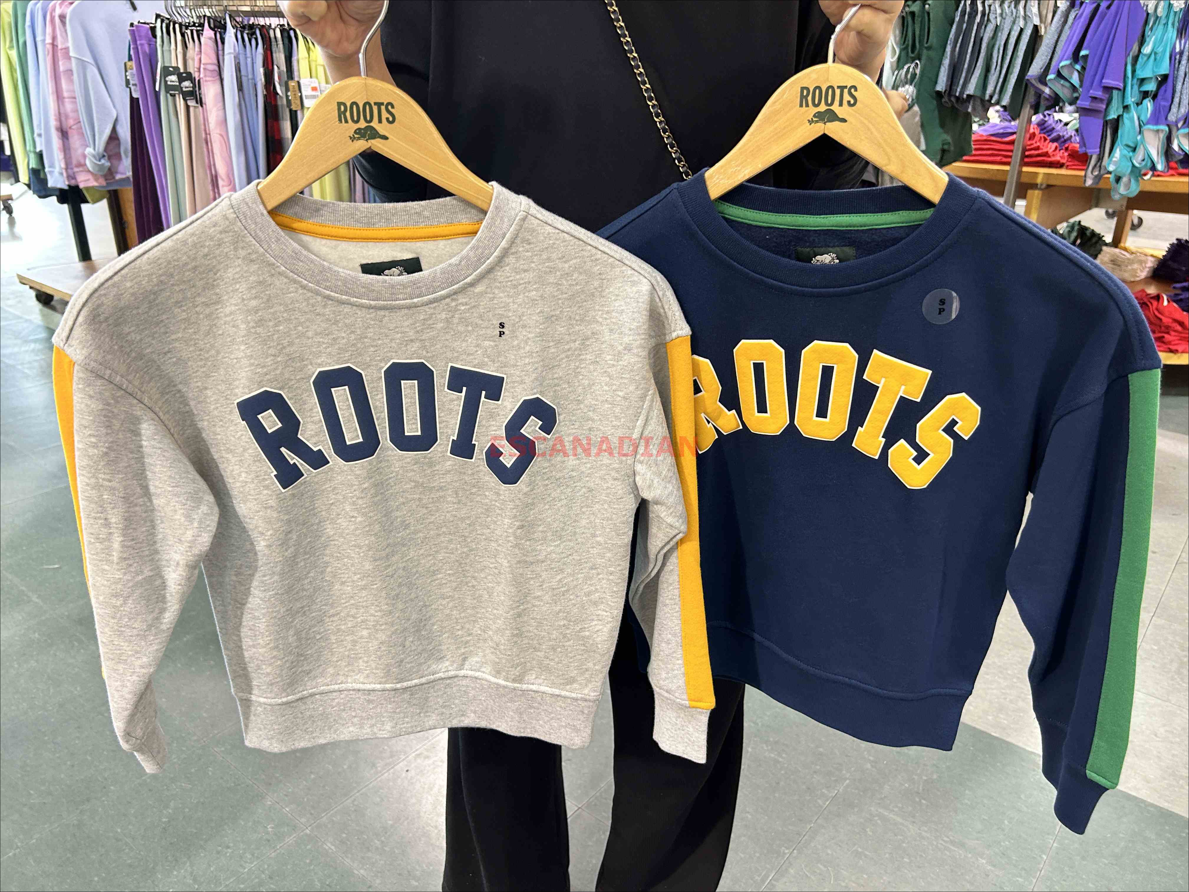 ROOTS 大童 戶外系列 大字樣 刷毛 大學TEE (3色)