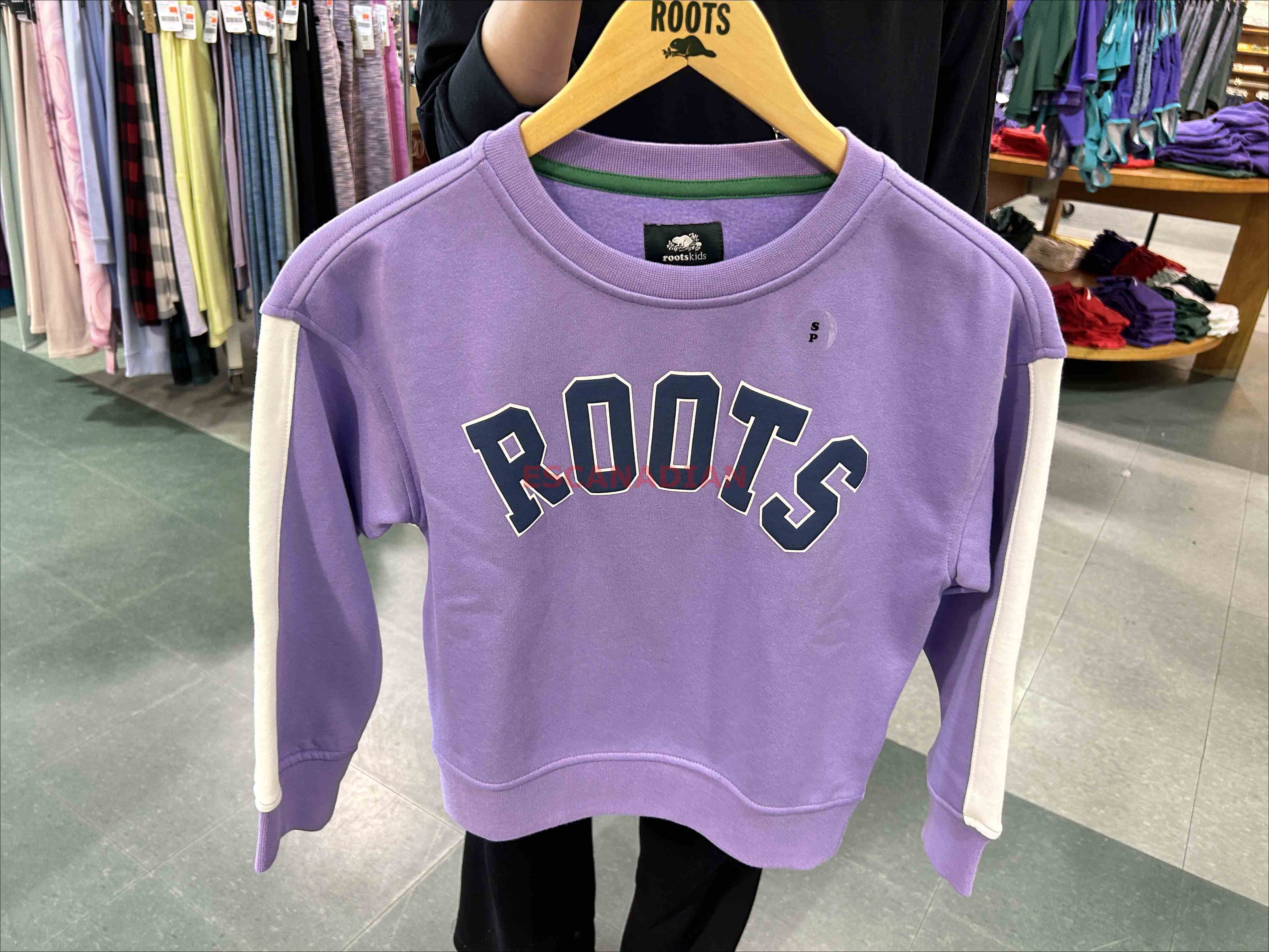 ROOTS 大童 戶外系列 大字樣 刷毛 大學TEE (3色)