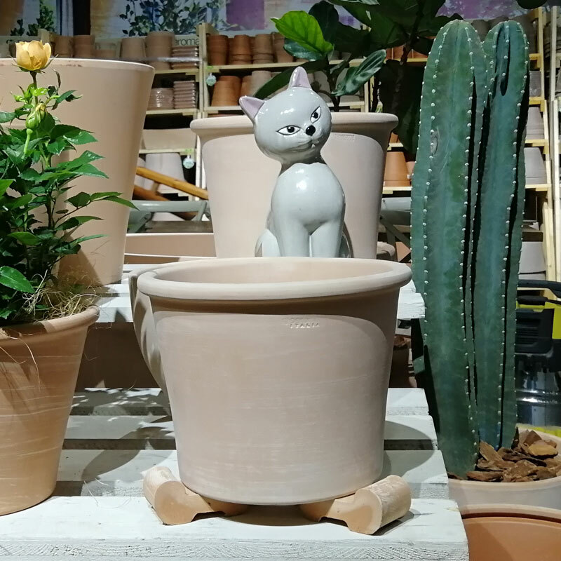 Deroma-Piedino Liscio Cotto