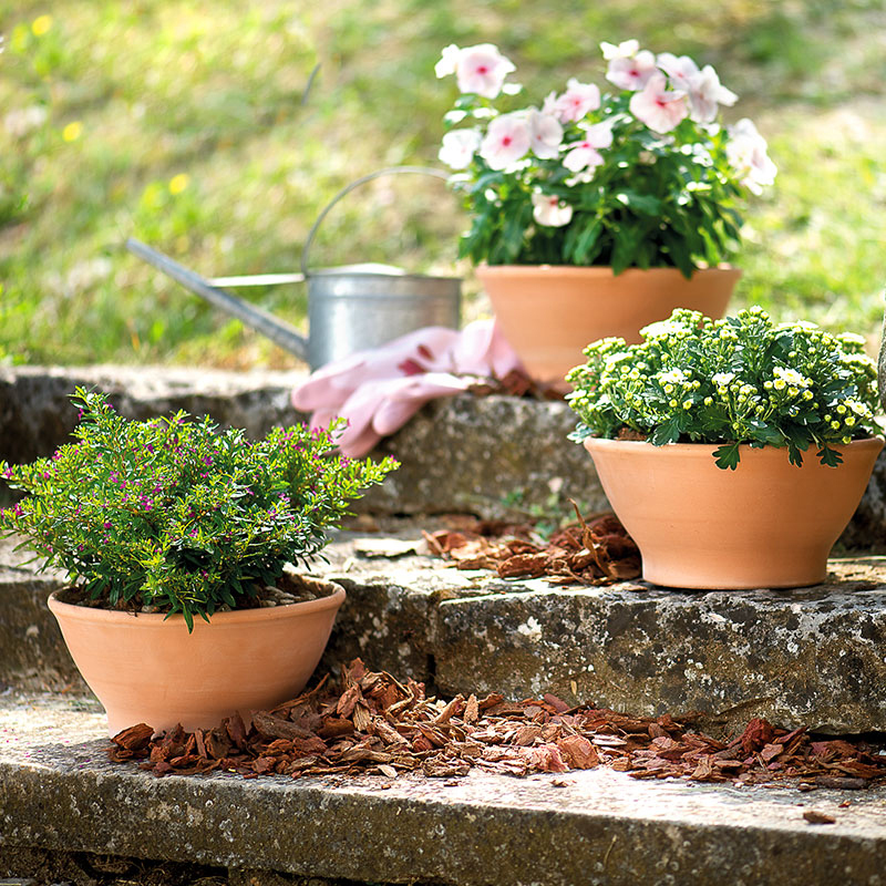 Deroma-Ciotola Liscia White