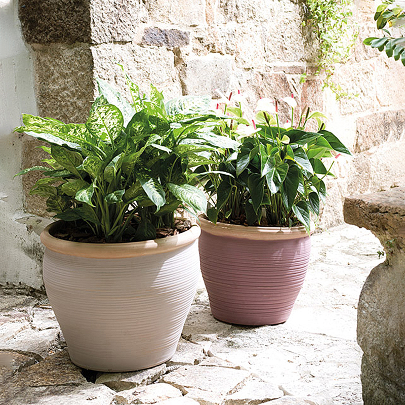 Deroma-Vase Blush Assorti White