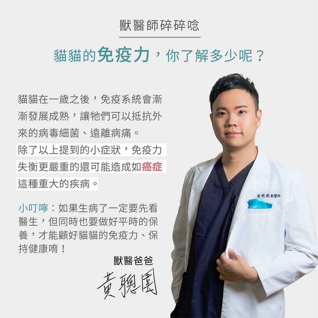 獸醫爸爸黃聰圍獸醫師對免疫力的看法