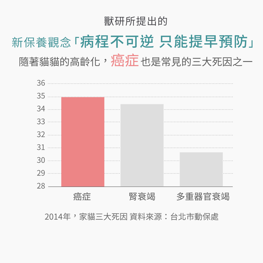 貓咪三大死因圖表癌症居冠