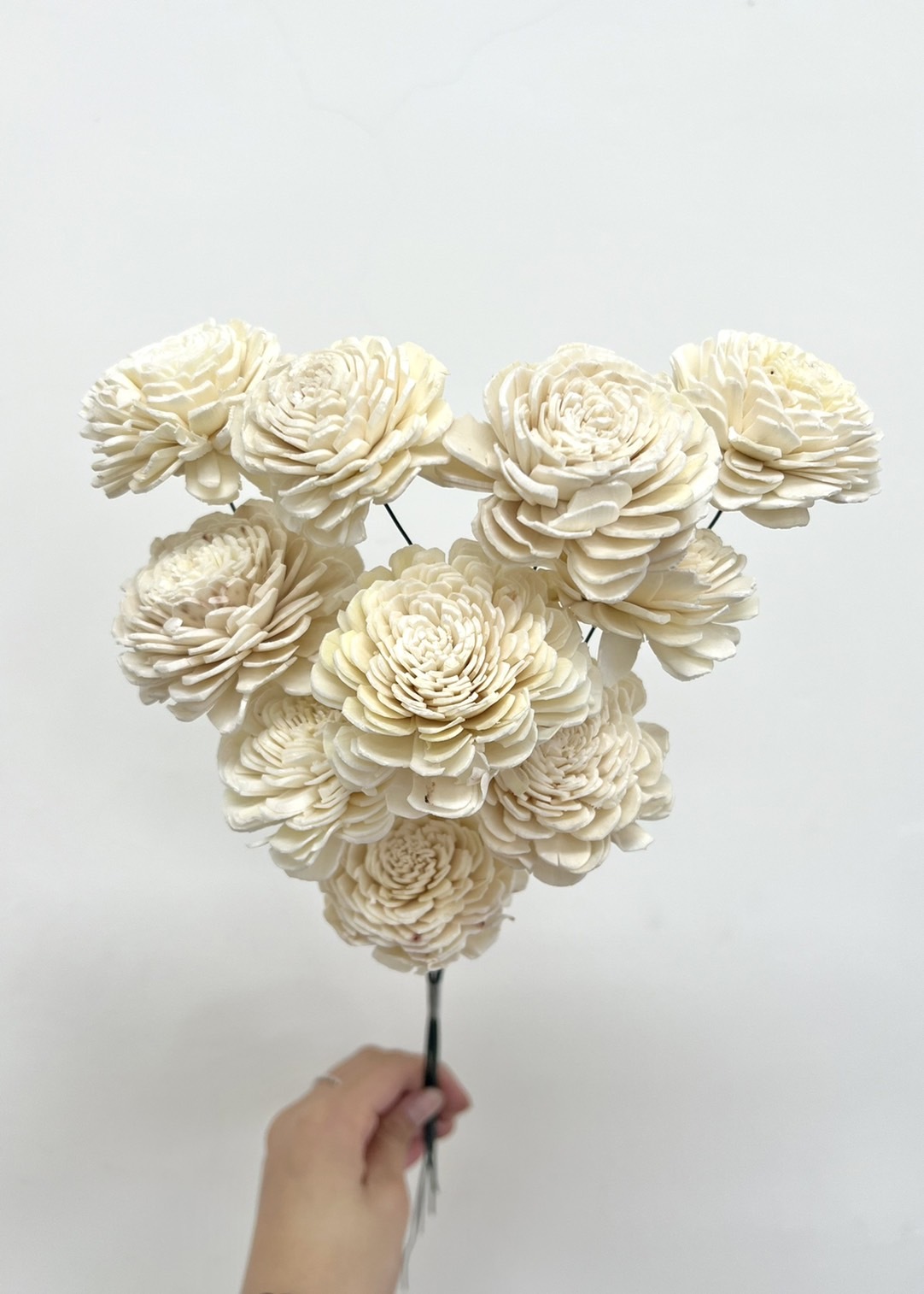 索拉玫瑰花 (6cm)32083-011