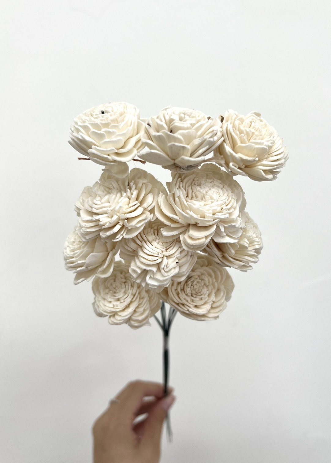 索拉玫瑰花(4cm) 32081-011