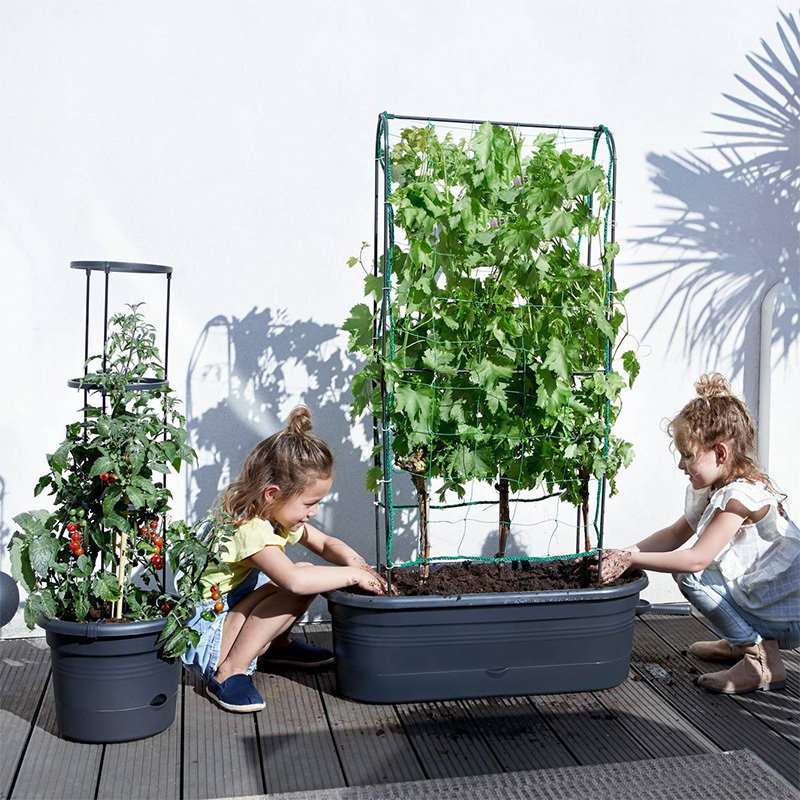 Elho-Green Basics Veggie Wall