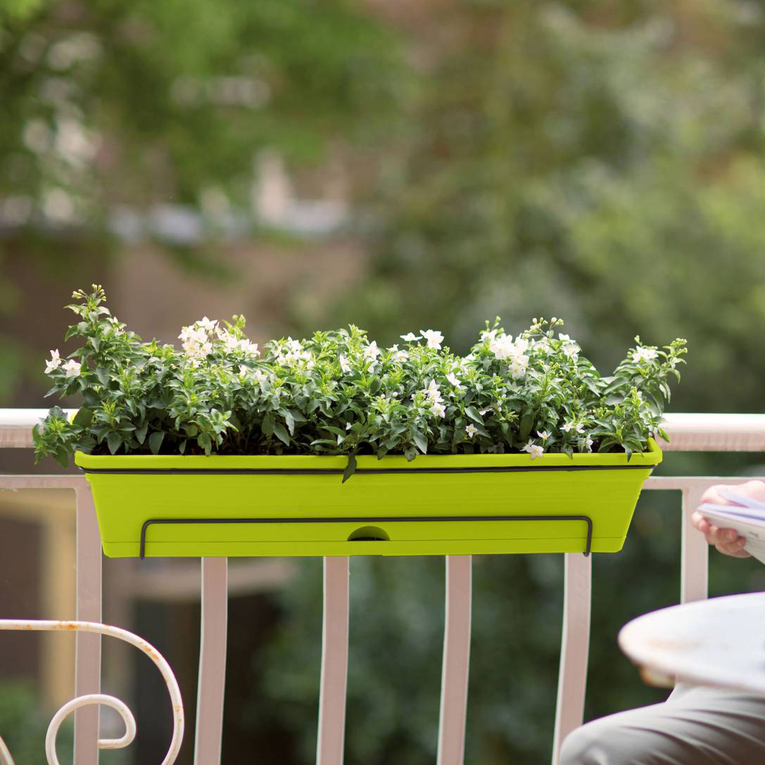 Elho-Green Basics Trough Allin1