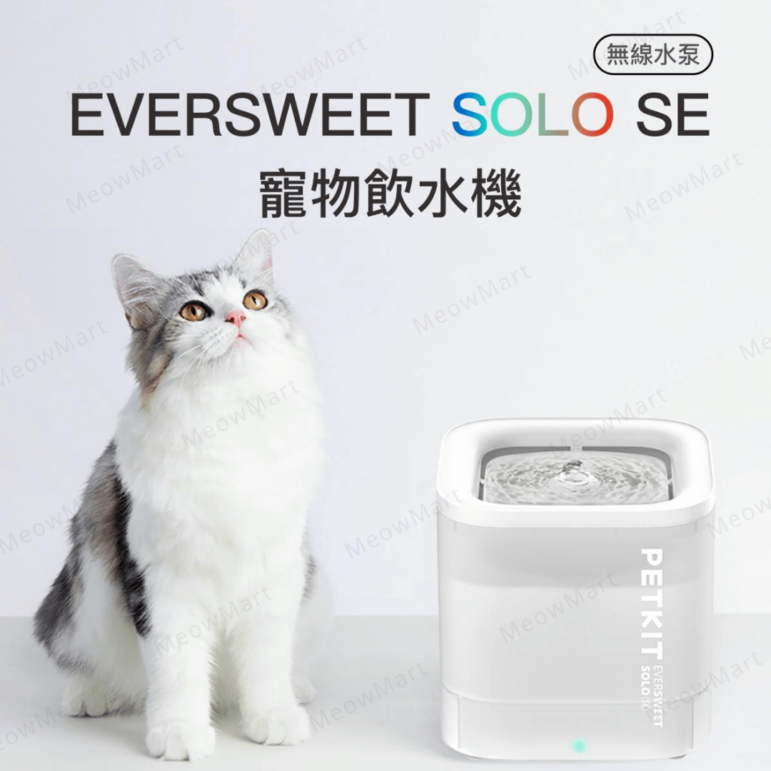 【現貨8折】Eversweet SOLO SE 無線水泵寵物飲水機 (雪白)