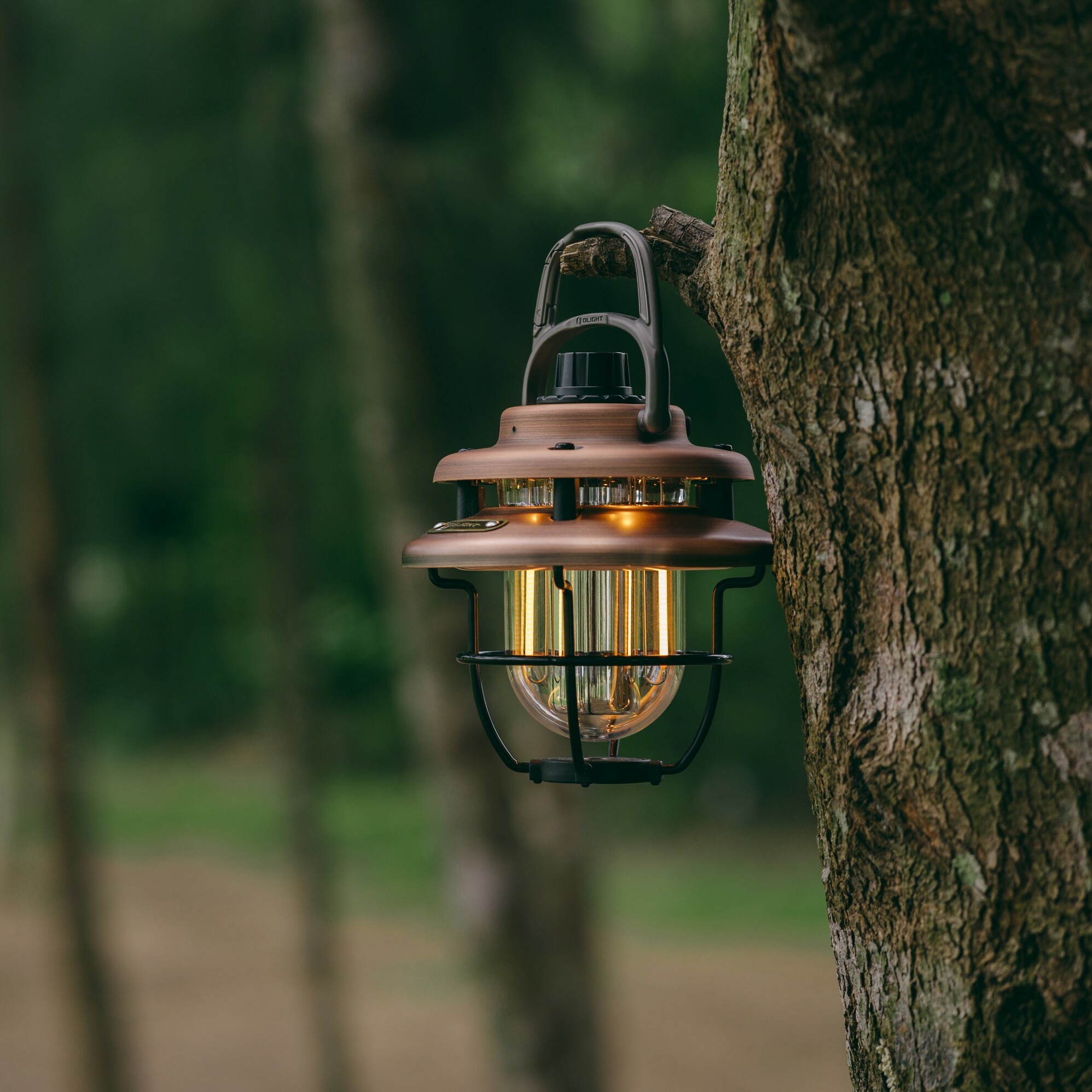 OLIGHT オーライト Olantern Classic Mini グリーン Olight Olantern Classic Mini OLANTERN CLASSIC MINI (FOREST