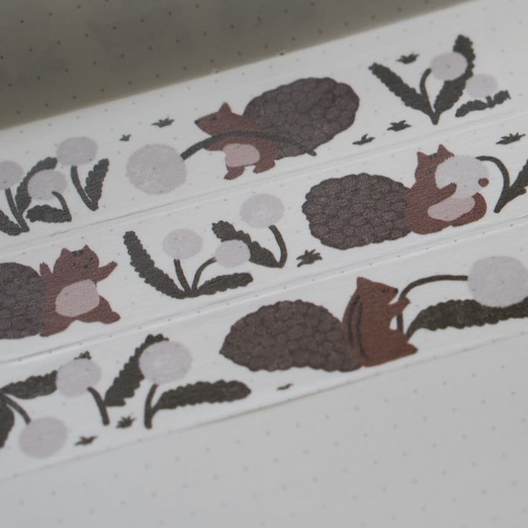 蒲公英 2cm和紙膠帶 ｜森空