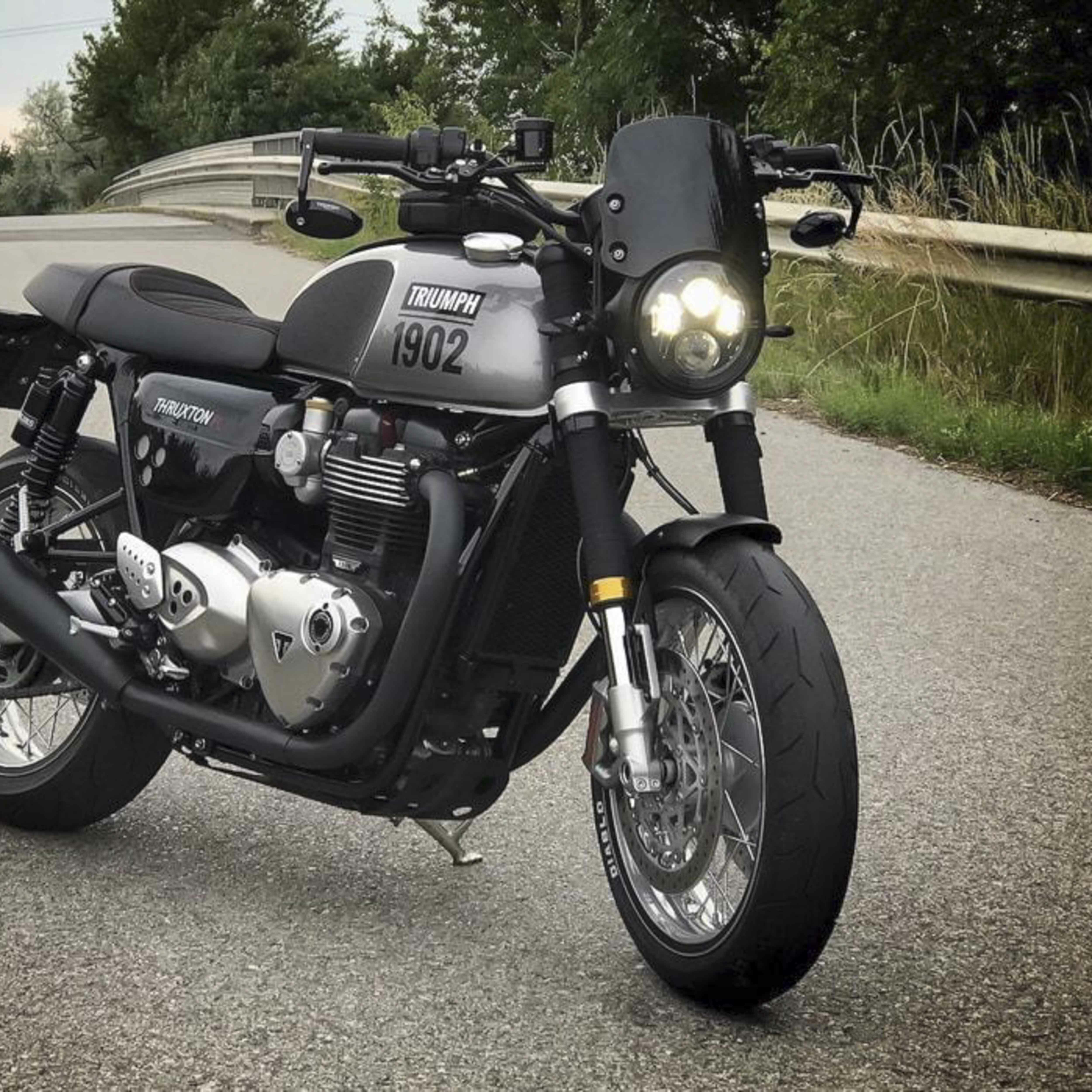 Dart Triumph LC Thruxton R - Piranha