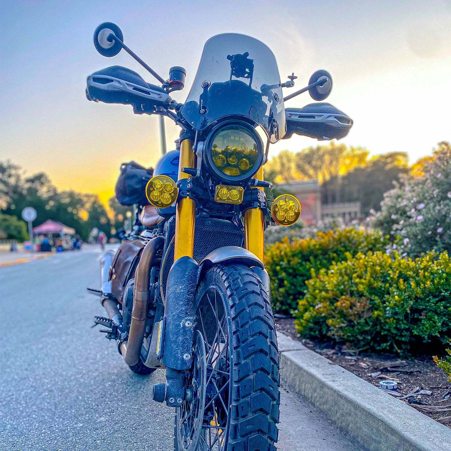 Dart Triumph LC Scrambler 1200 - Marlin