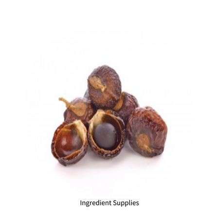 Sapindus saponaria 無患子