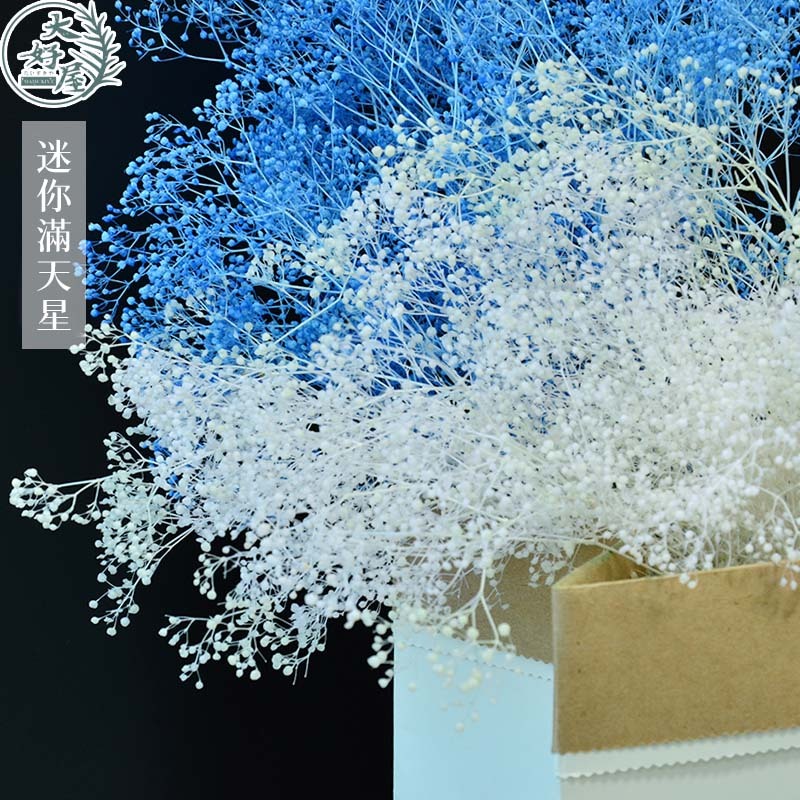 永生迷你滿天星【大】