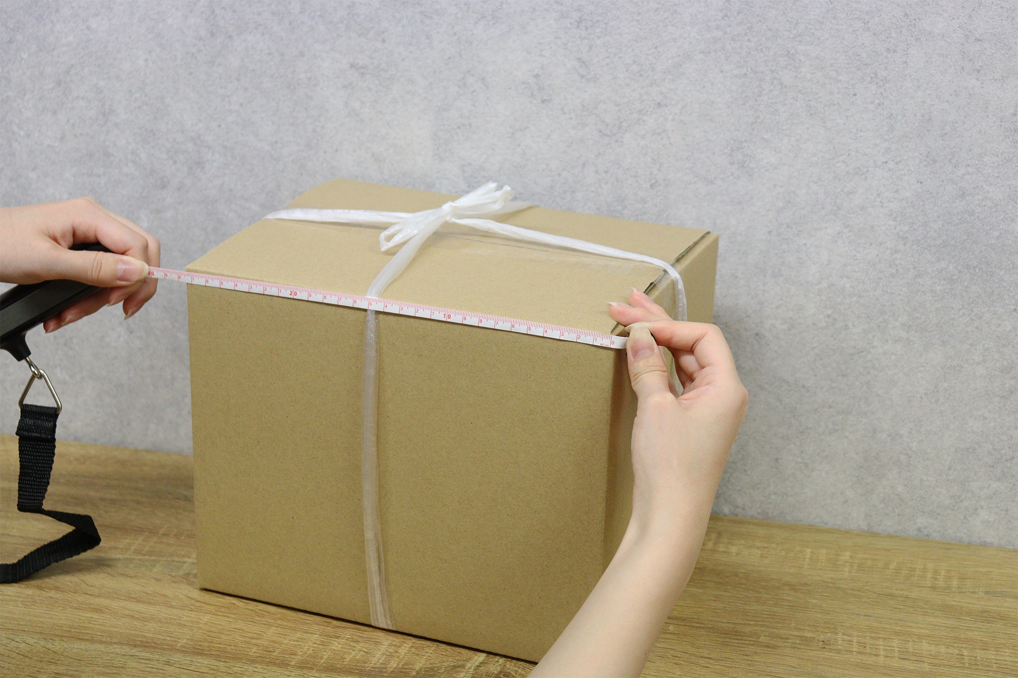 Dretec 手提電子秤 LS-108