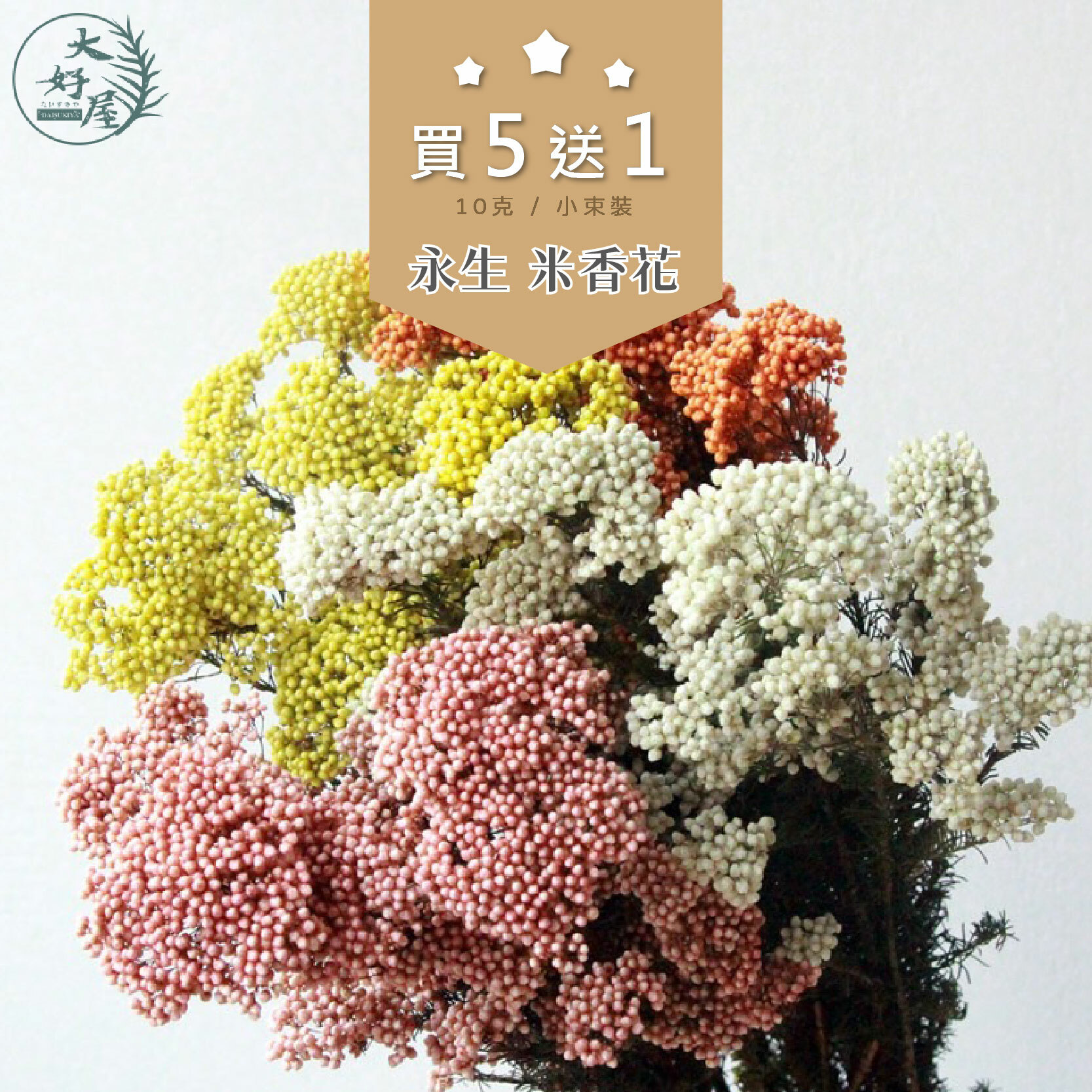 永生米香花【小束裝】