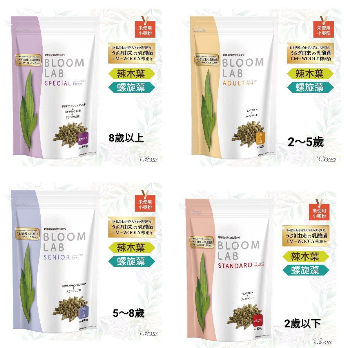 🔥即期下殺🔥【Wooly】花開系列  2-5歲內成兔飼料800g