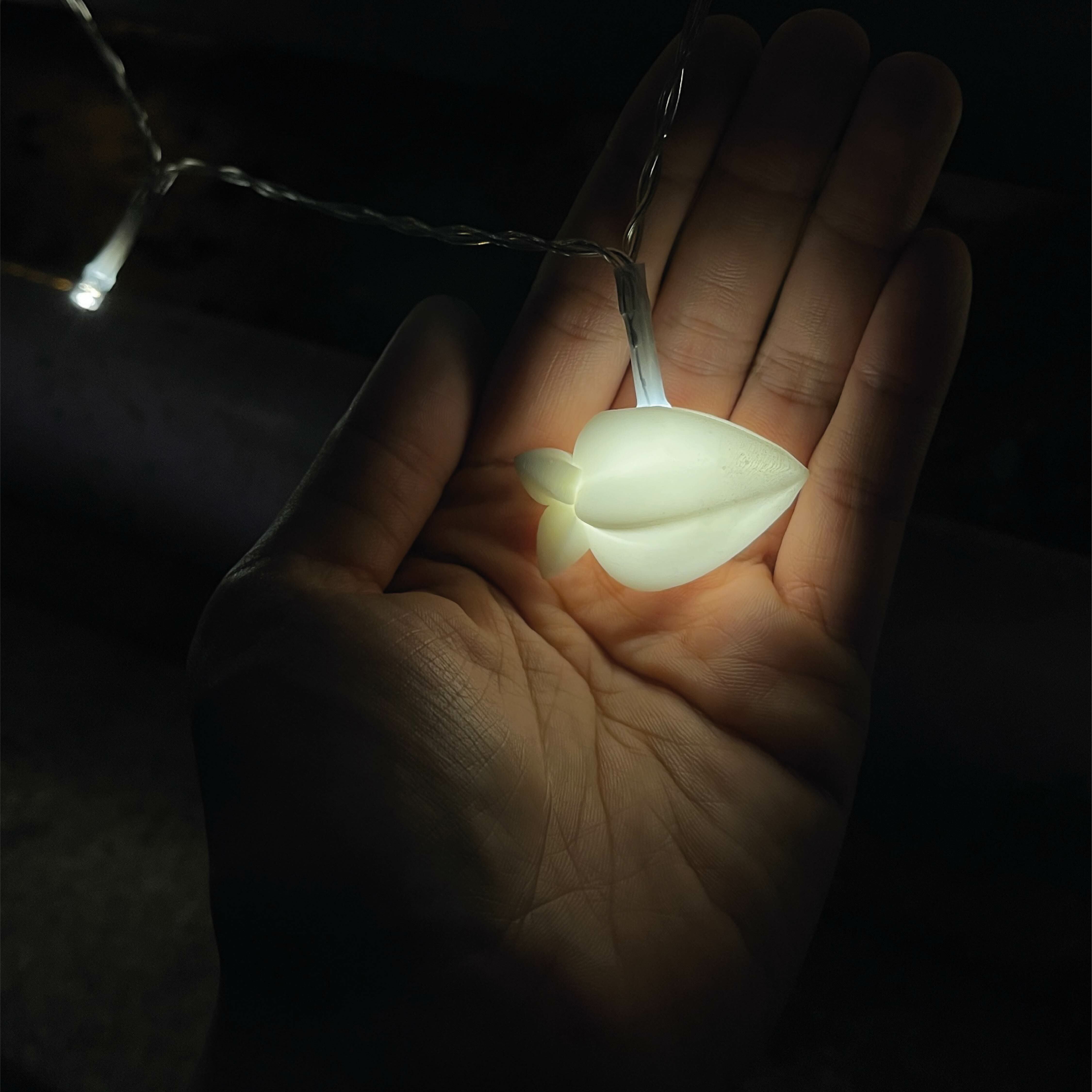 祝君安好 楊桃燈籠燈串| 中秋限定| 3米中秋燈串 |中秋佳節賞月必備| 本地設計 香港製造