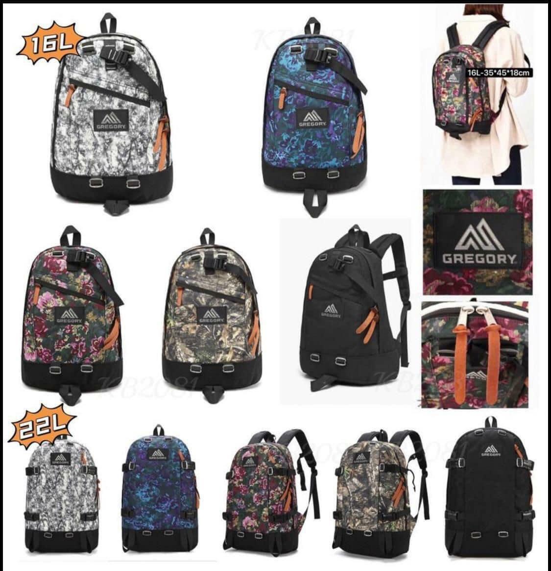 Gregory Daypack 背囊🎒16L/22L