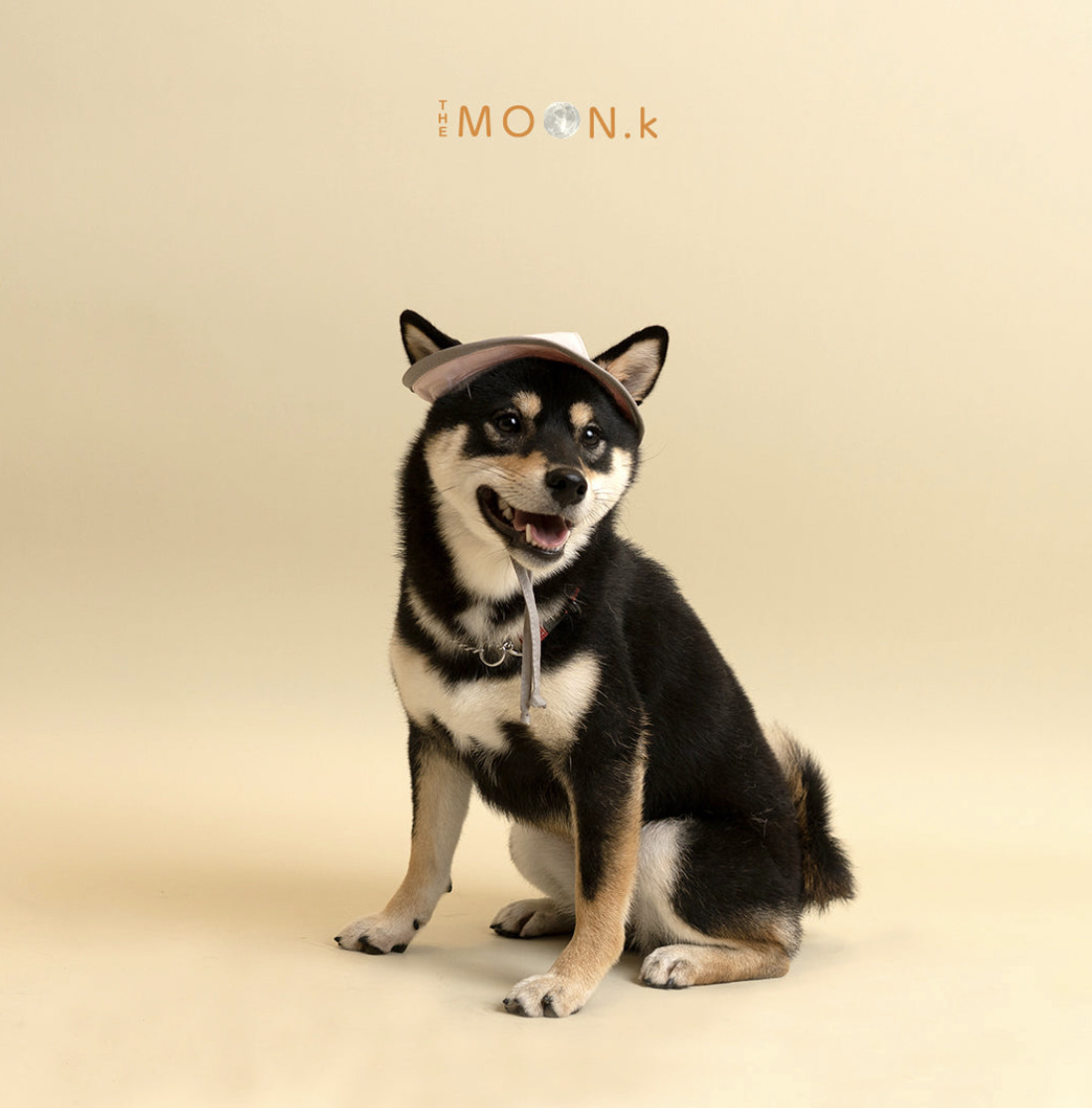 【THE MOON.K 】寵物漁夫帽