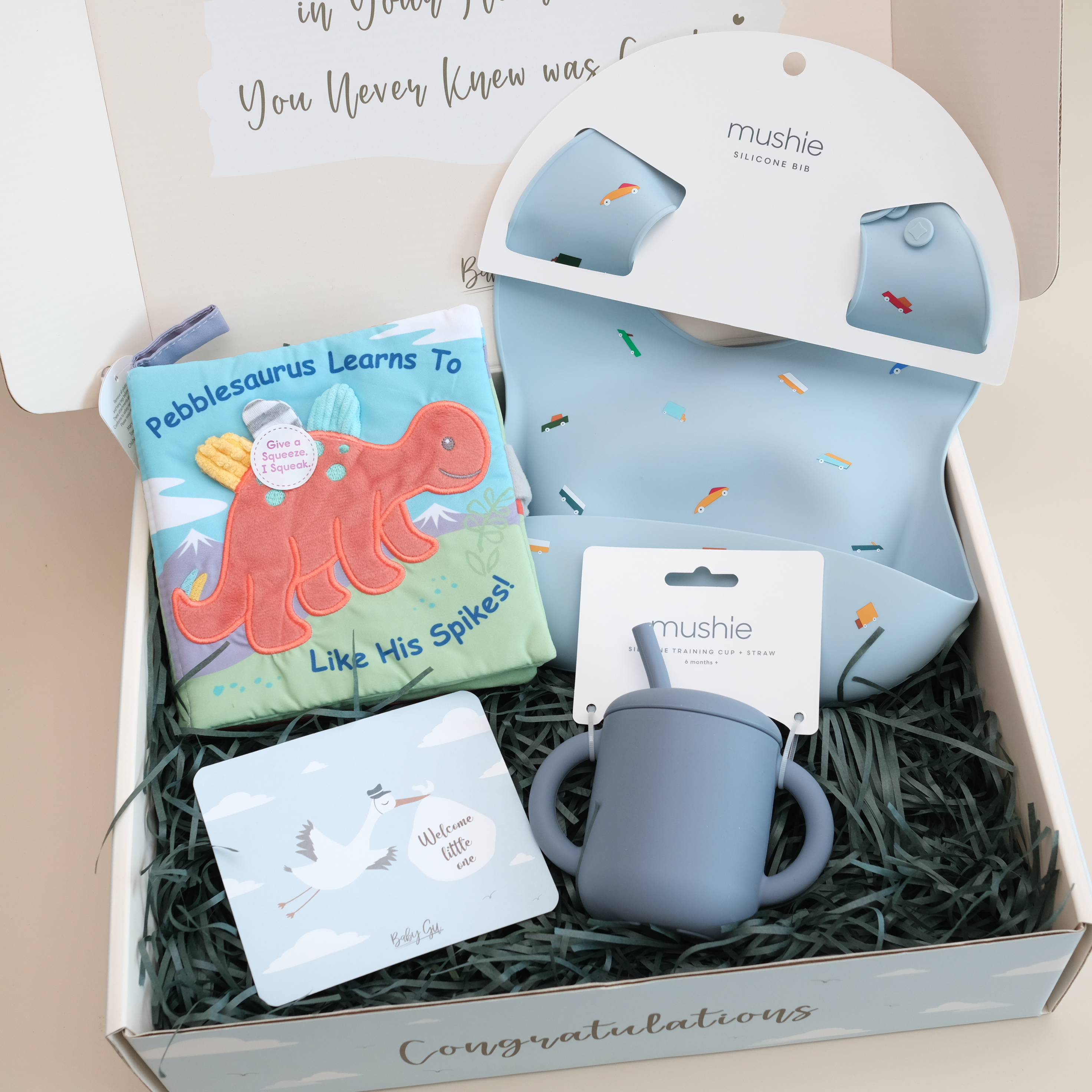 BB禮盒 (6個月以上)