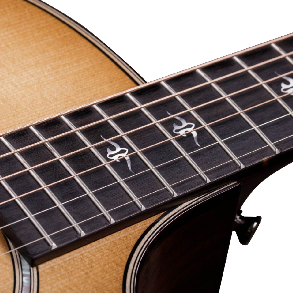 Taylor Taylor / 514ce 電木吉他 第 3 張圖片｜三峽吉他 / Bass