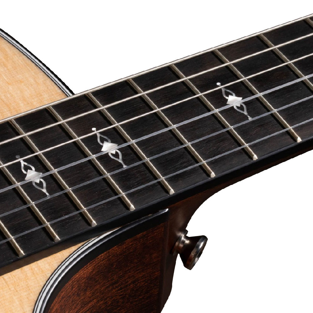 Taylor Taylor / 314ce-N 電古典吉他 第 3 張圖片｜三峽吉他 / Bass