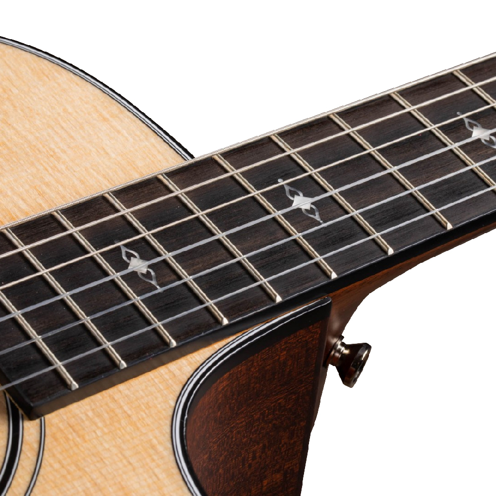 Taylor Taylor / 312ce-N 電古典吉他 第 3 張圖片｜三峽吉他 / Bass