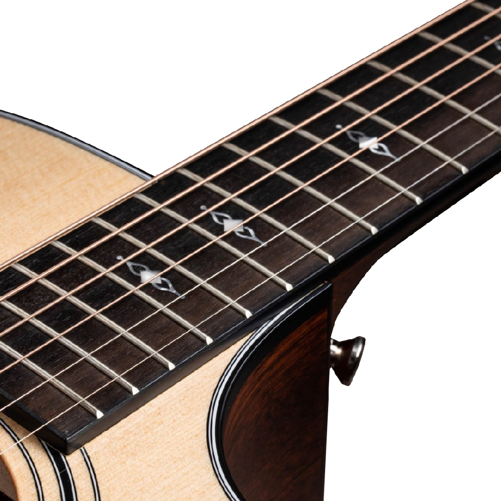 Taylor Taylor / 312ce 電木吉他 第 3 張圖片｜三峽吉他 / Bass