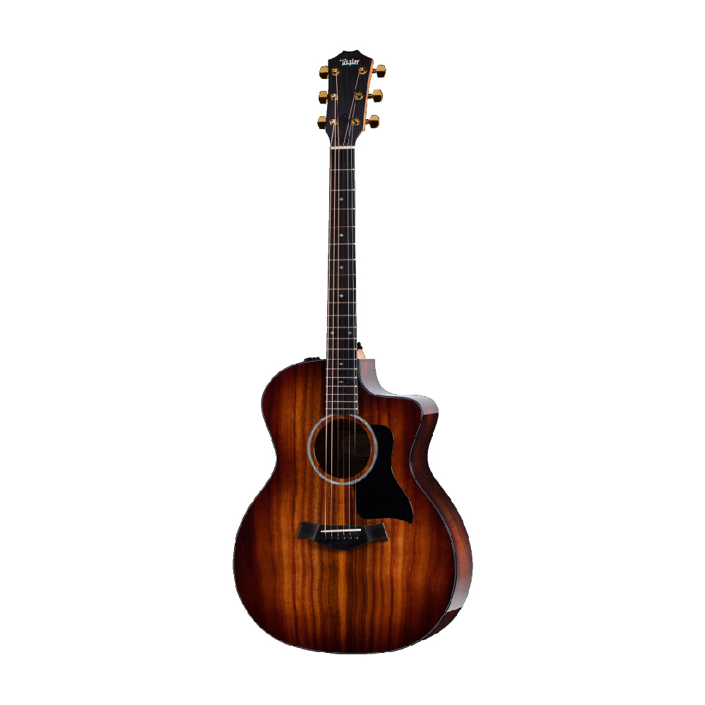 Taylor Taylor / 224ce-K DLX 41吋面單電木吉他 — 三峽吉他 / Bass｜YA! 玩音樂