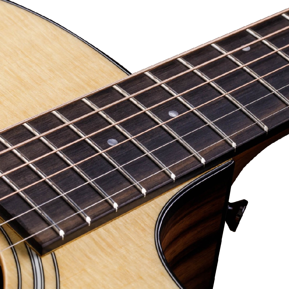 Taylor Taylor / 214ce Plus 41吋面單電木吉他 第 3 張圖片｜三峽吉他 / Bass