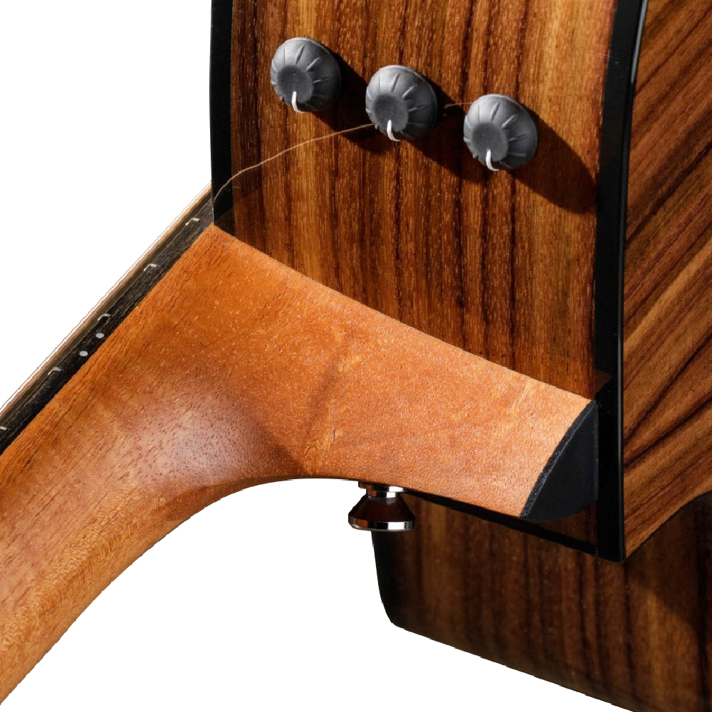 Taylor Taylor / 210ce Plus 41吋面單電木吉他 第 4 張圖片｜三峽吉他 / Bass