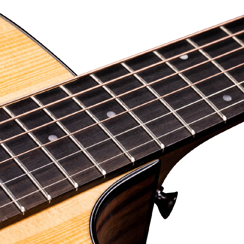 Taylor Taylor / 210ce 41吋面單電木吉他 第 3 張圖片｜三峽吉他 / Bass