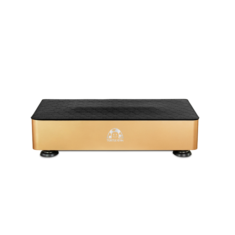 TURTLEGYM 特多勁 TF3全身拍打律動機
