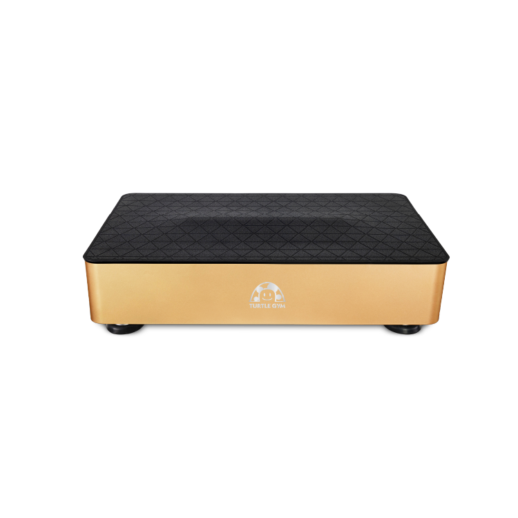 TURTLEGYM 特多勁 TF3全身拍打律動機