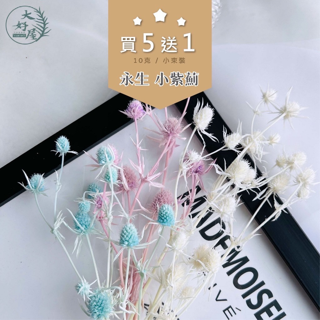 永生紫薊 / 刺芹【10g裝】