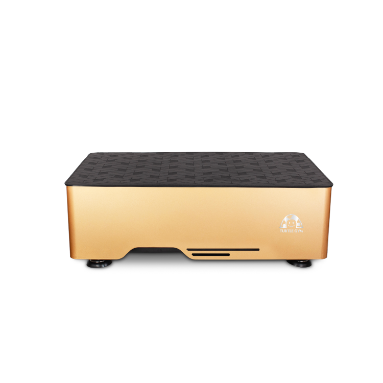 TURTLEGYM 特多勁 TP2全身垂直律動機