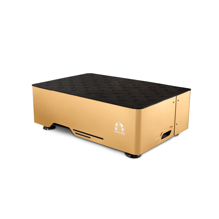 TURTLEGYM 特多勁 TP2全身垂直律動機